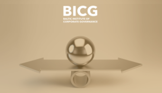 Purpose of the BICG defined, above the mission, vision and values